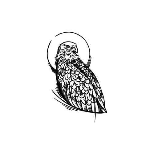 Aigle Lune - Image 2