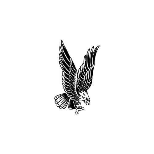 Airone - Image 2