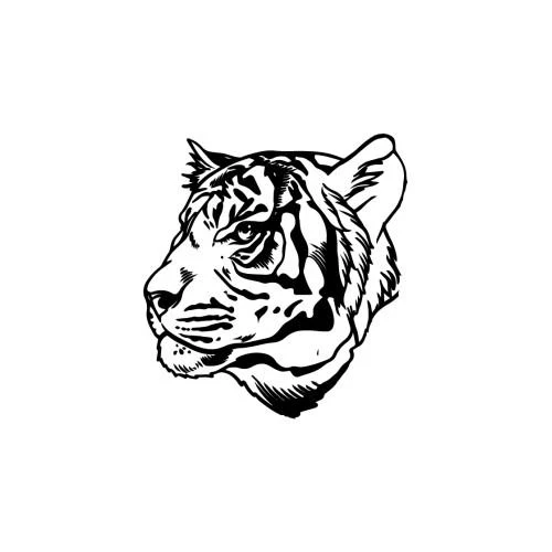 Amandla - Image 2