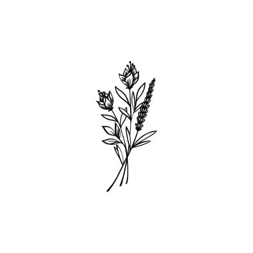 Amodeu - Image 2