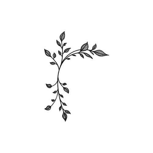Ampelos - Image 2