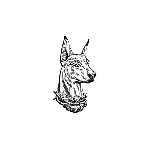 Argus - Image 2
