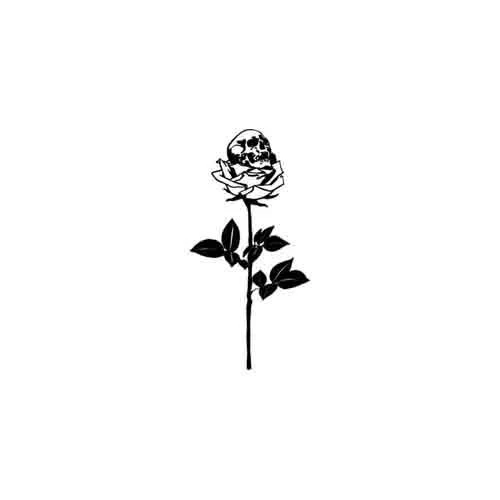 Bella Rosa - Image 2