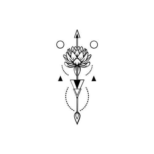 Bilim - Image 2