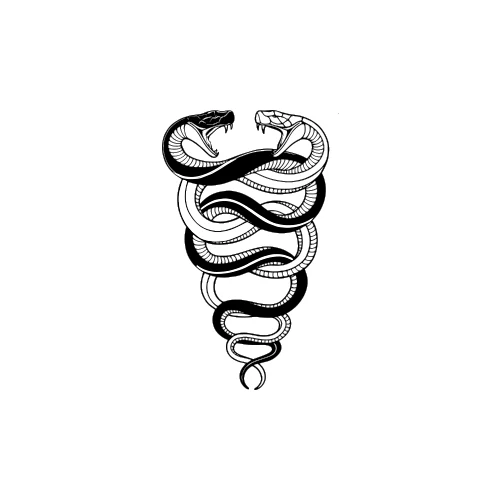 Caduceus - Image 3
