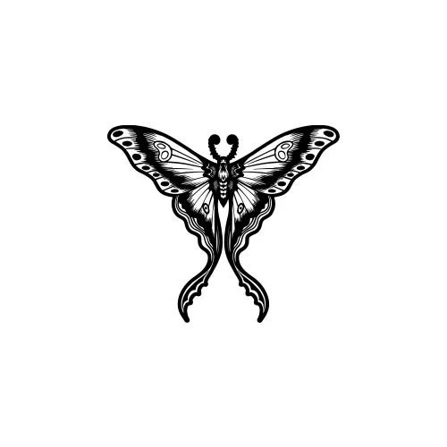 Cambia - Image 2