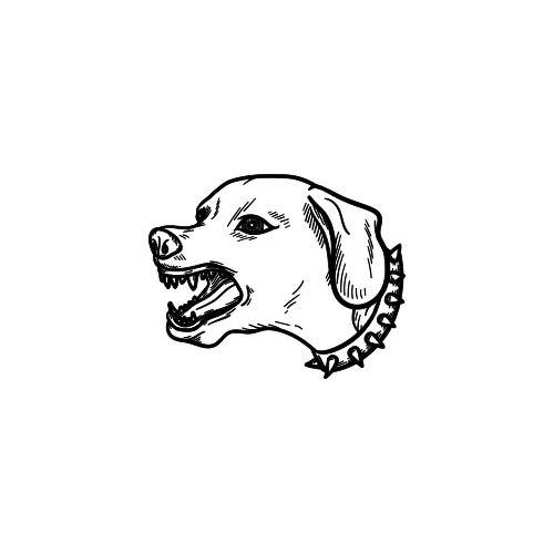 Canis - Image 2
