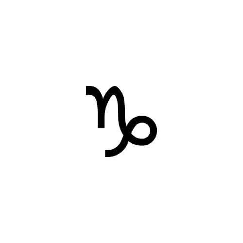 Capricorn - Image 3