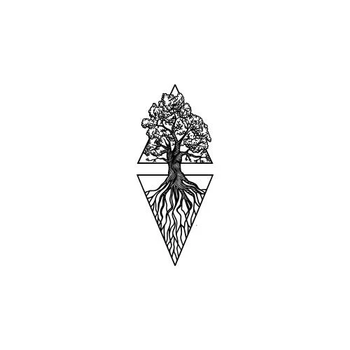 Copac - Image 2