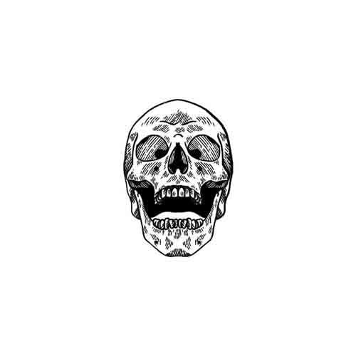 Craneal - Image 2