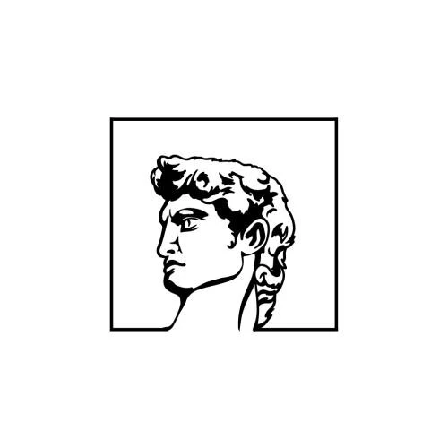 David - Image 2