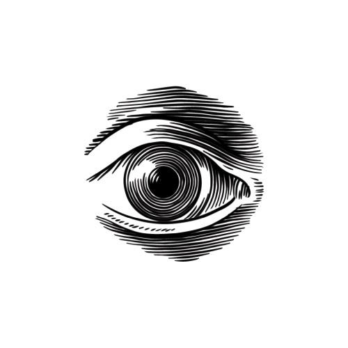 Dianis - Image 2