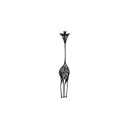 Diraya - Image 3