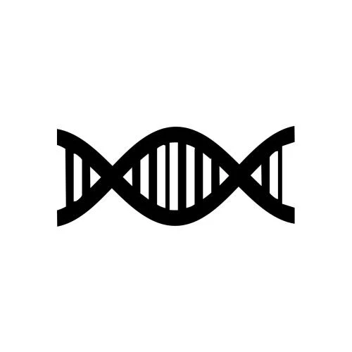 DNA - Image 2