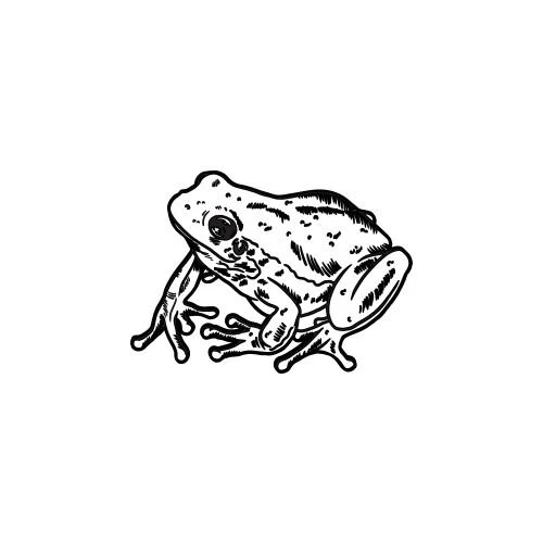 Feltam - Image 2