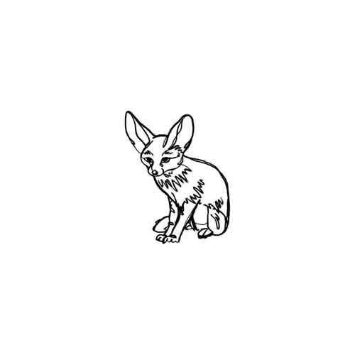 Fenek - Image 2
