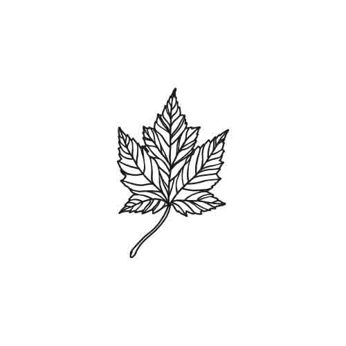 Foliar - Image 2