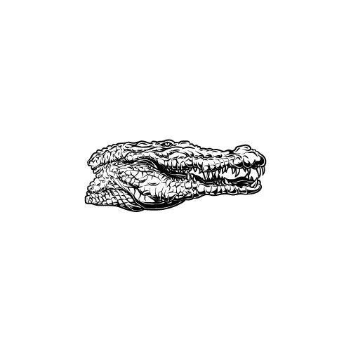 Gator - Image 2