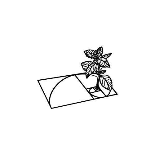 Golden ratio - Image 2