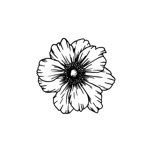 Hibiska - Image 2