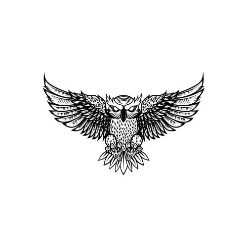 Hoot - Image 3