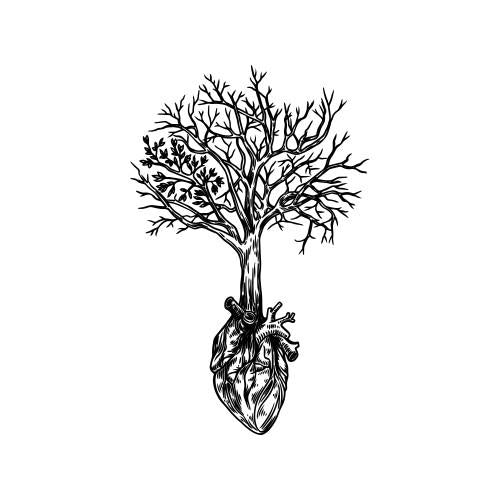 Iccha - Image 2