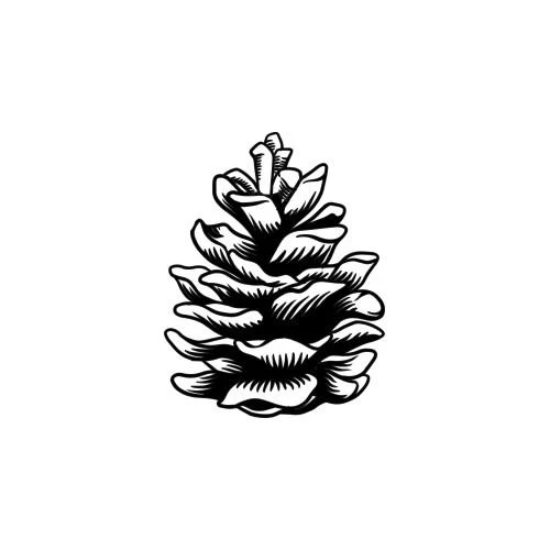 Korala - Image 2