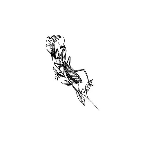 Koti - Image 2