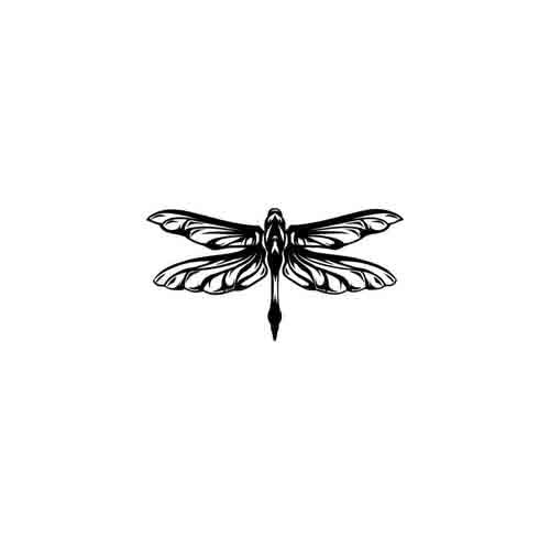 Libellula - Image 2