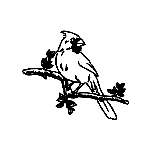 Liberta - Image 3