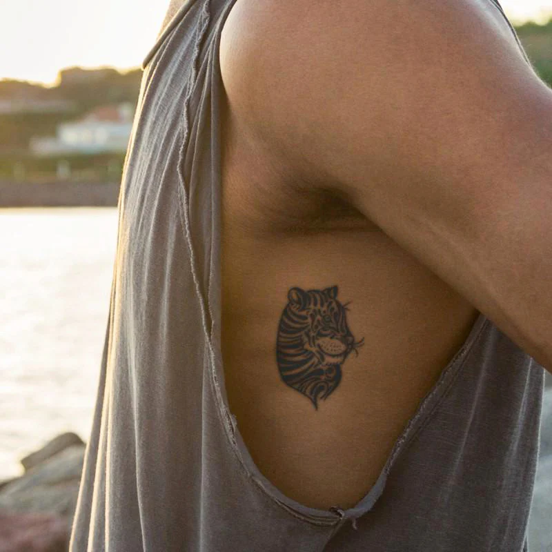 Majestic Cats Bundle - Image 4
