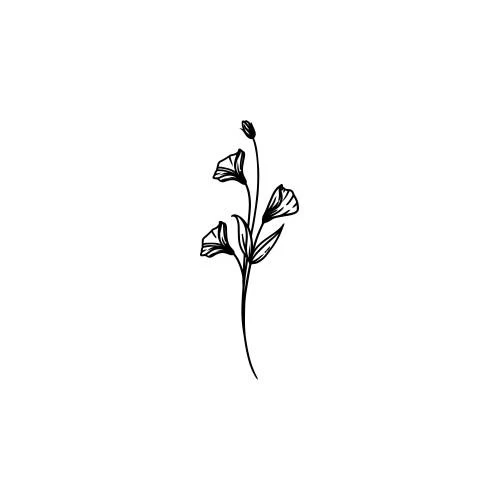 Maruva - Image 2