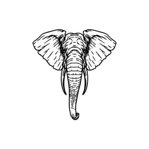 Memory - Image 2