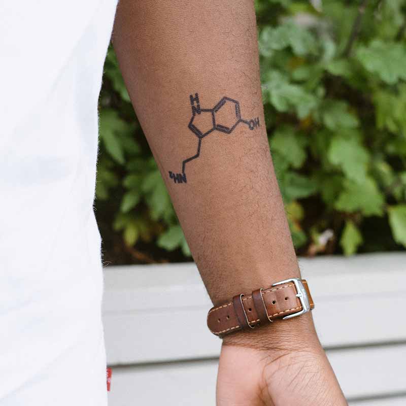 Mood Mark Society Tattoo Bundle - Image 13