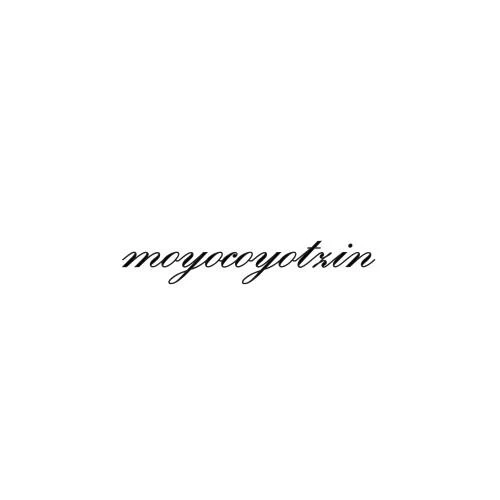 Moyocoyotzin - Image 2