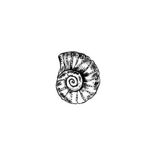 Nautilus - Image 2