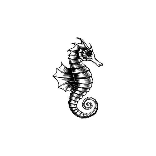 Niyami - Image 2