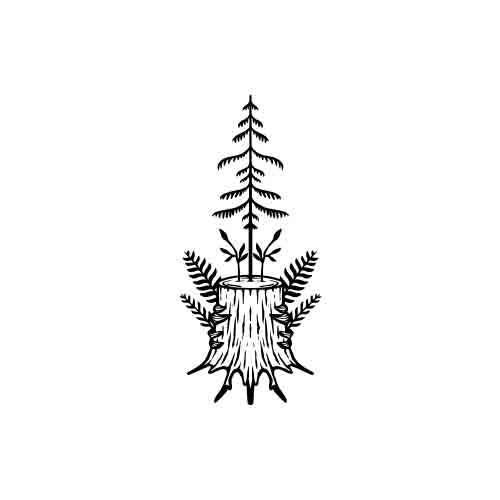 Orb - Image 2