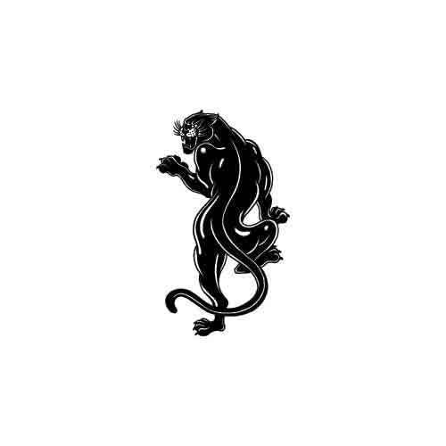 Panther - Image 2