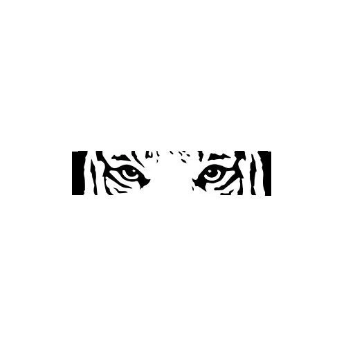Panthera - Image 2