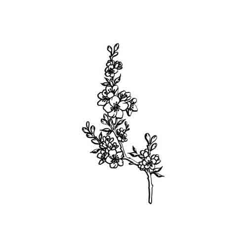 Petites Fleurs - Image 2