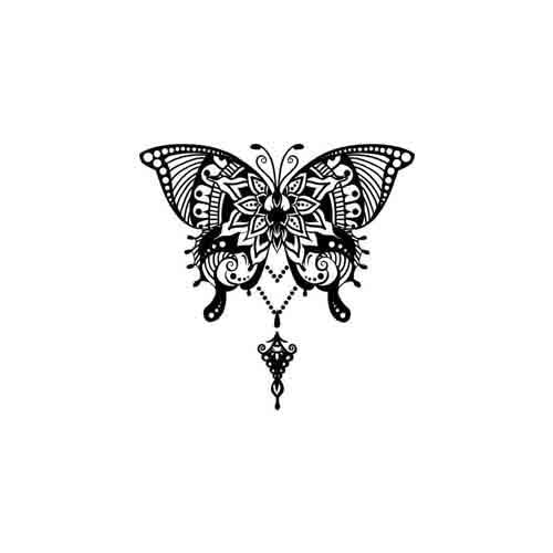 Ranidae - Image 3