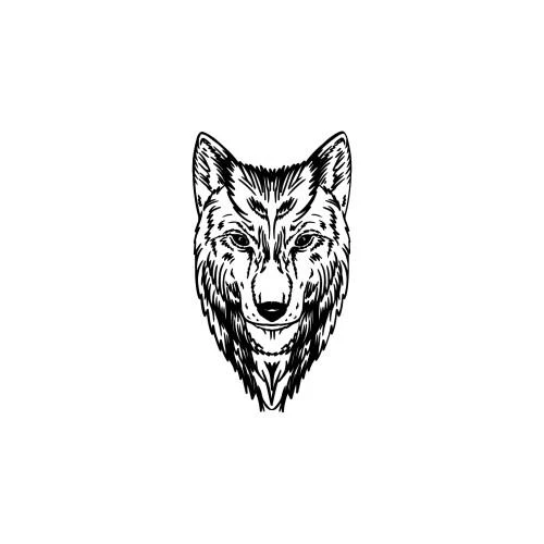 Raposa - Image 2