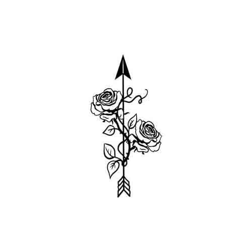 Rosa E Freccia - Image 2