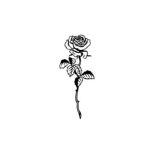Rose Noire - Image 2
