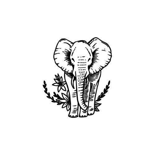 Sagesse - Image 3