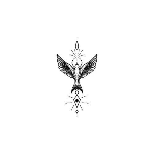 Soar - Image 3