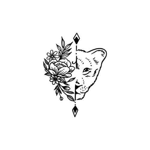 Sotiras - Image 3