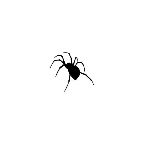 Spider - Image 2