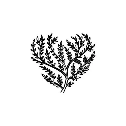Taruna - Image 2